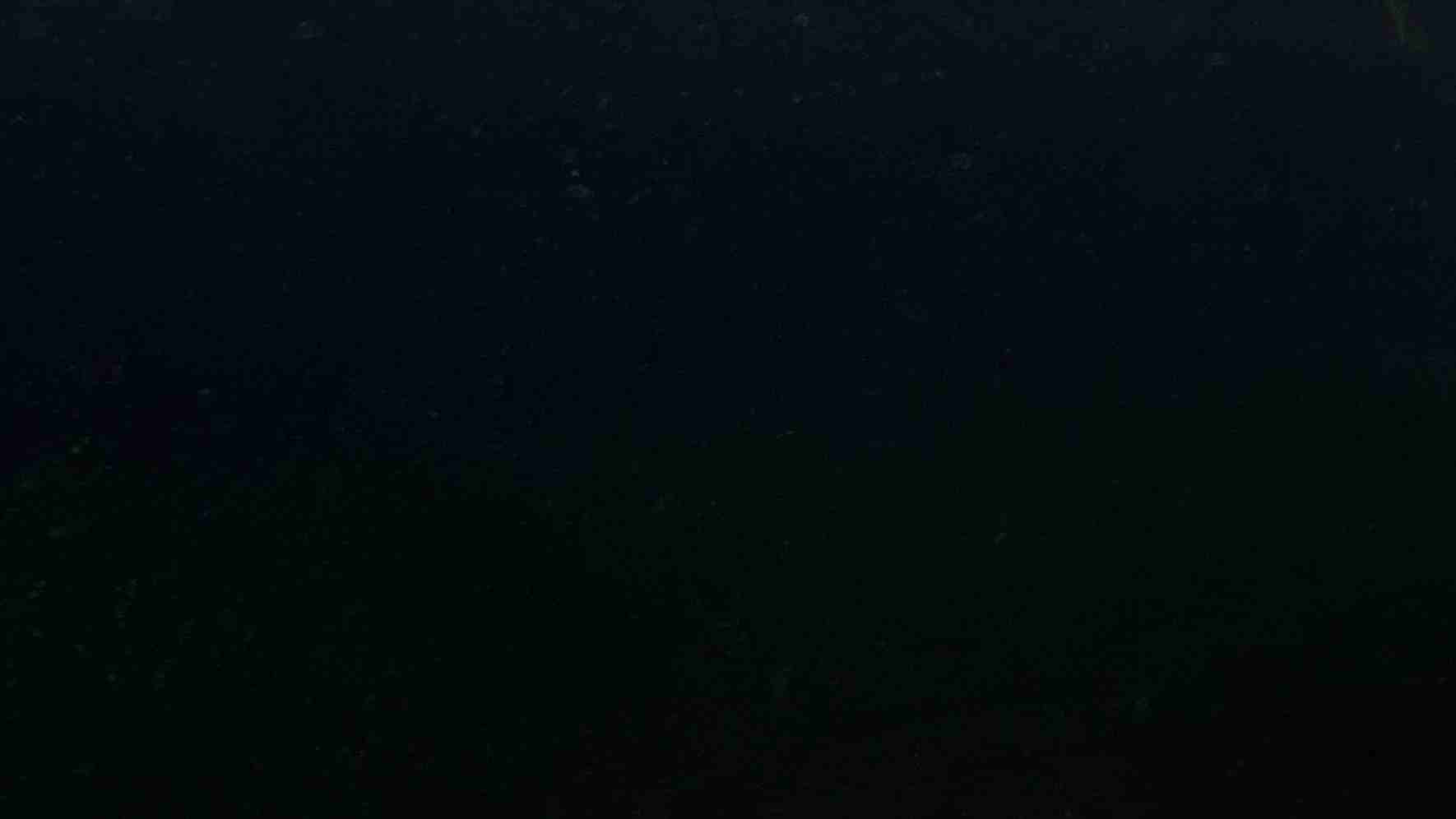 Premium Rajasthan Black Dark Indian Granite featuring an intensely saturated, uncompromising absolute black surface. High-quality polished slab supplied wholesale in Kishangarh.