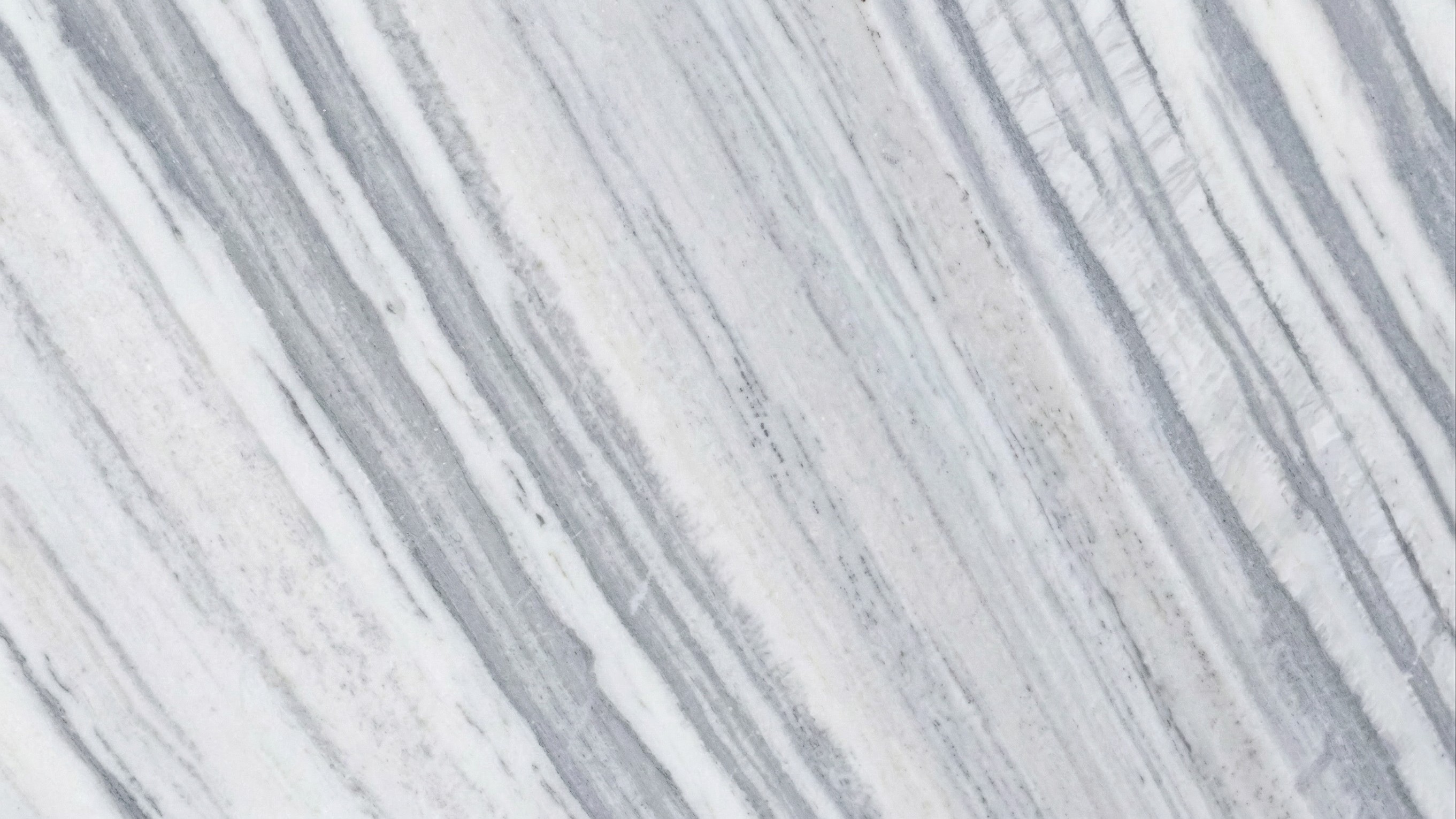 arna white 6